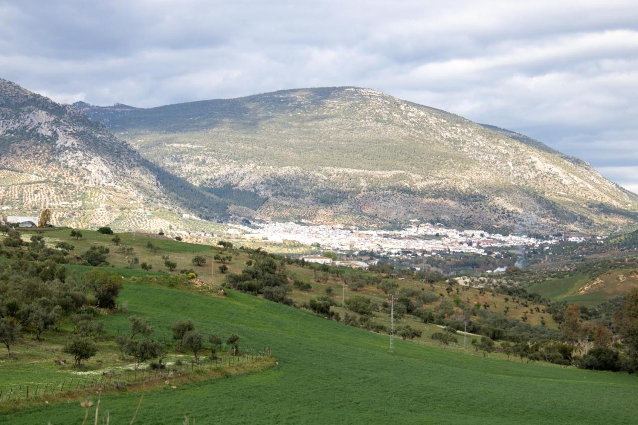בורנוס Hacienda La Divertida מראה חיצוני תמונה